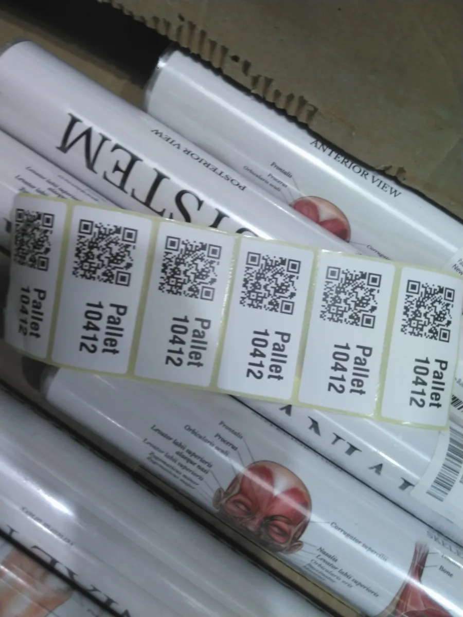 Pallet 10412