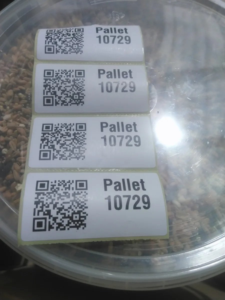 Pallet 10729
