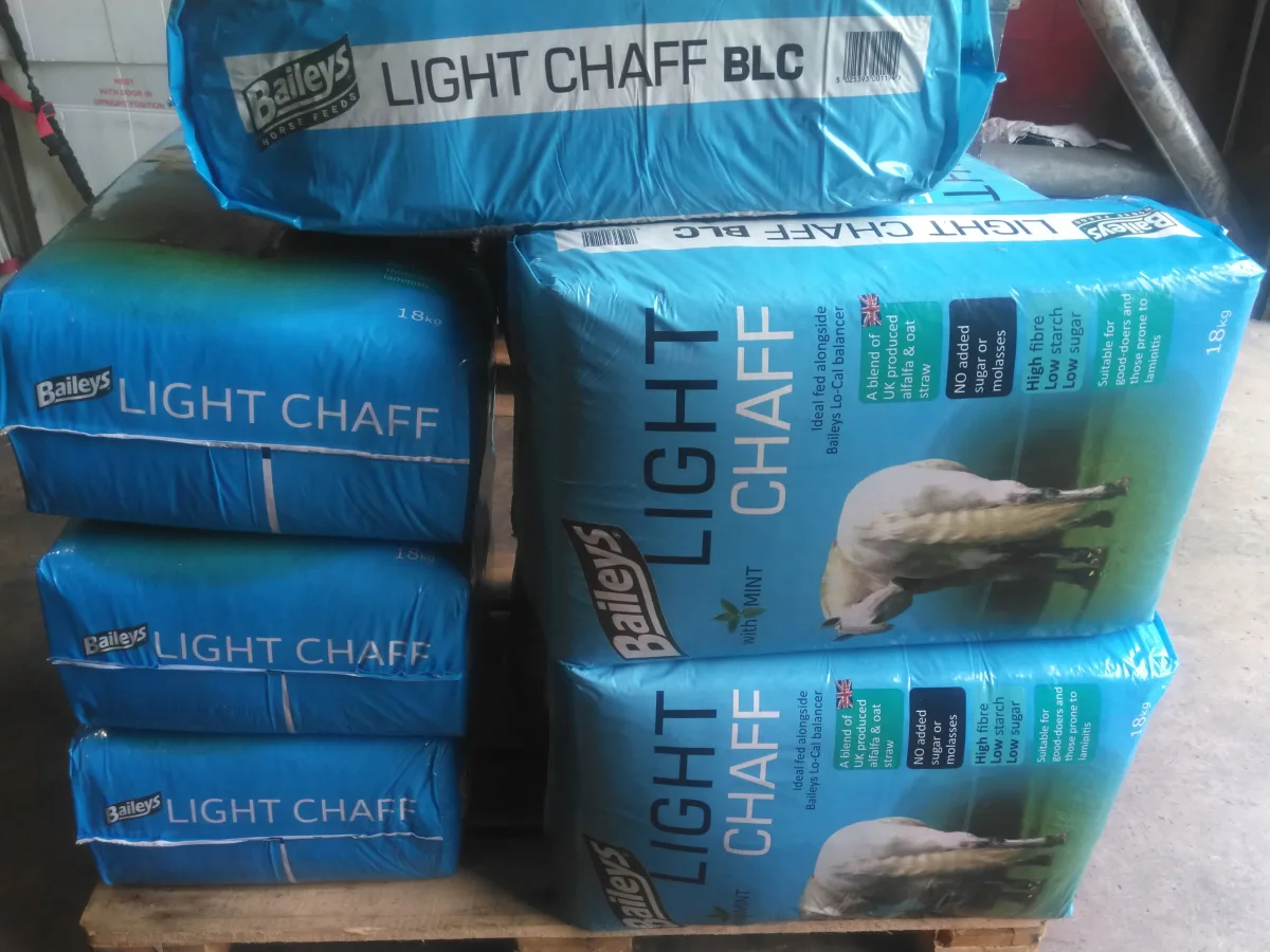 Pallet 10647