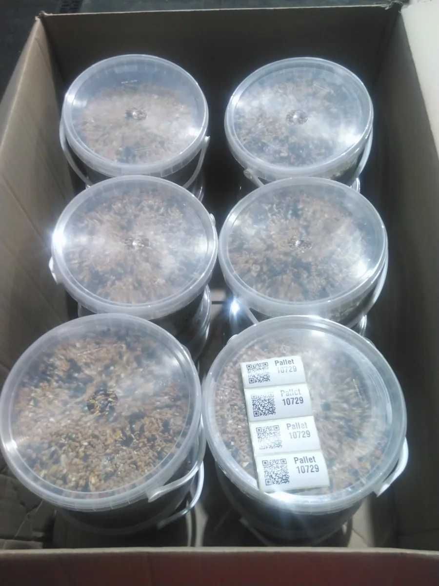 Pallet 10729