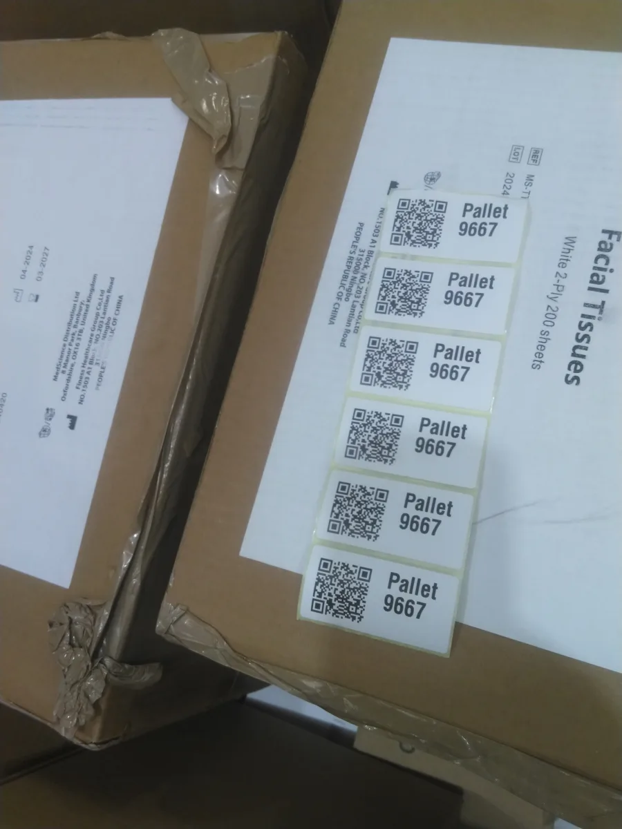 Pallet 9667