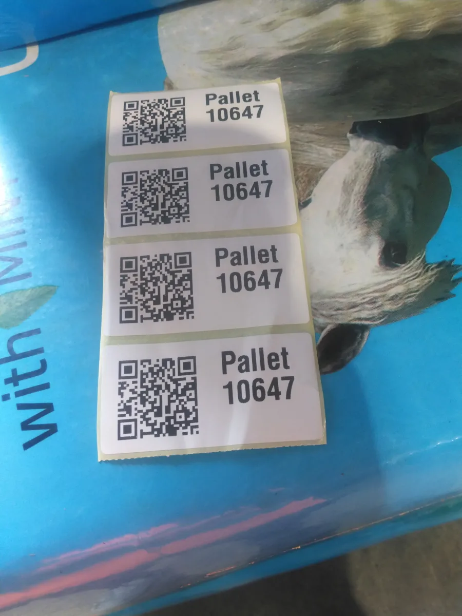 Pallet 10647